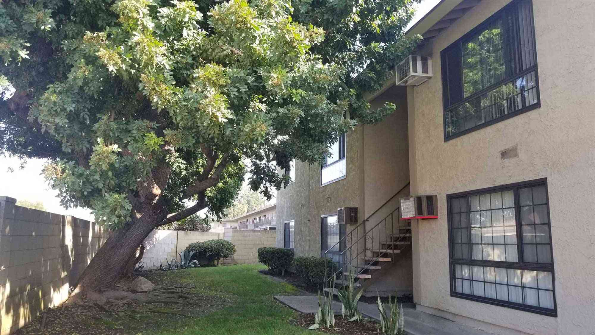 shaded courtyard with mature trees and staircase