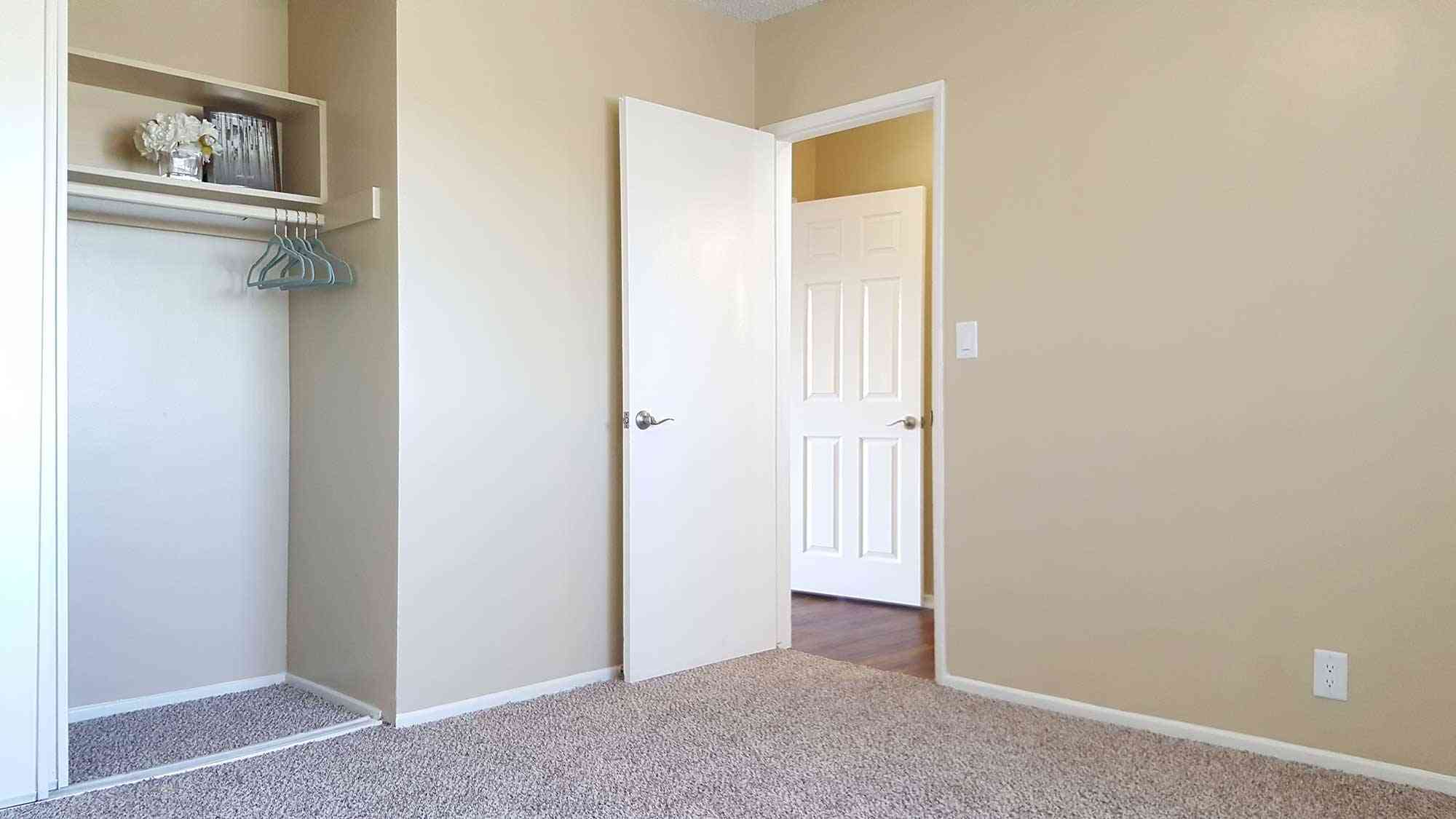 spacious bedroom with open closet organizer